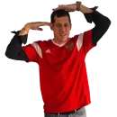 Стикер Press F to Respect