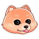 Принц Тоффи