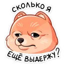 Стикер Принц Тоффи