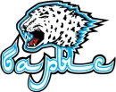 Стикер pro hockey