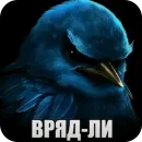 Birds Memes