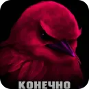 Стикер Birds Memes