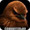 Стикер Birds Memes