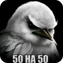 Стикер Birds Memes