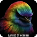 Стикер Birds Memes