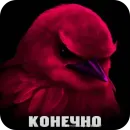 Стикер Birds Memes