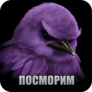 Стикер Birds Memes