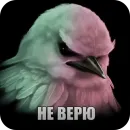 Стикер Birds Memes