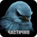 Стикер Birds Memes