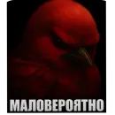 Стикер Birds Memes