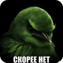 Стикер Birds Memes