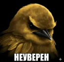 Стикер Birds Memes