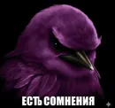 Стикер Birds Memes
