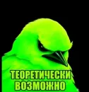Стикер Birds Memes