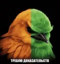 Birds Memes