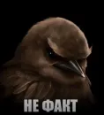 Стикер Birds Memes