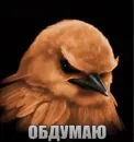 Стикер Birds Memes