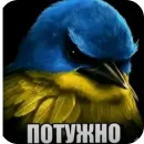 Стикер Birds Memes