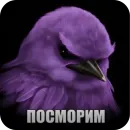 Стикер Birds Memes