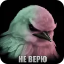 Стикер Birds Memes