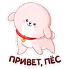 Пудинг