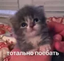 Стикер пудинк