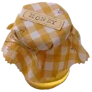 purin