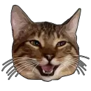 Pussy 69 vol. 1 by TheSquid