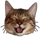 Стикер Pussy 69 vol. 1 by TheSquid