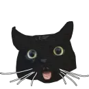 Стикер Pussy 69 vol. 1 by TheSquid