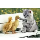 Стикер Party animals