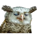 Стикер Party animals