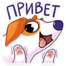 Песик Берт
