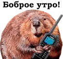 Стикер Фразы