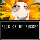 Стикер +qSticks+