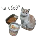 коты ишачат на заводе