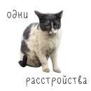 Стикер коты ишачат на заводе
