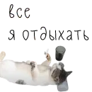 Стикер коты ишачат на заводе