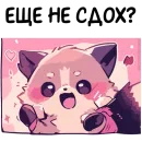 Стикер Енот Дабси🦝