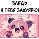 Стикер Енот Дабси🦝