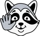 raccoon