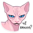 Стикер Рамзес