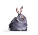 Cute Animals