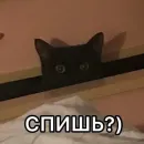 Стикер Memes