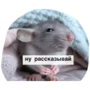 Стикер Крысиноэ