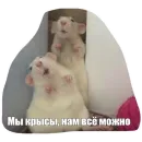 Стикер Крысиноэ