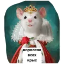 Стикер Крысиноэ