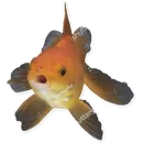 Стикер Рыбы