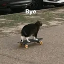 Стикер lovely♡