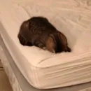 Стикер lovely♡